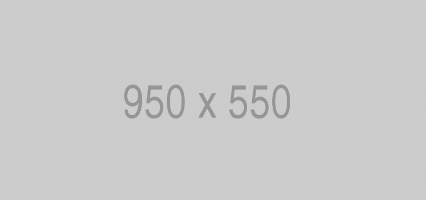 950×550